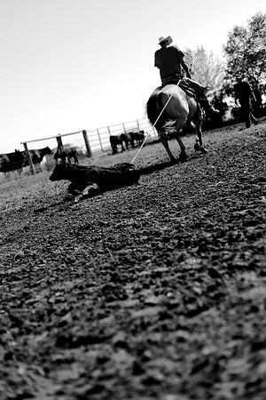 IMG_2493 - Version 2