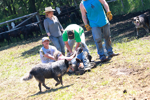 IMG_2756