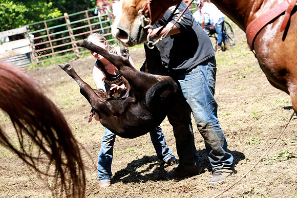 IMG_2867