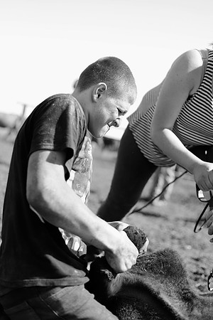 IMG_2524